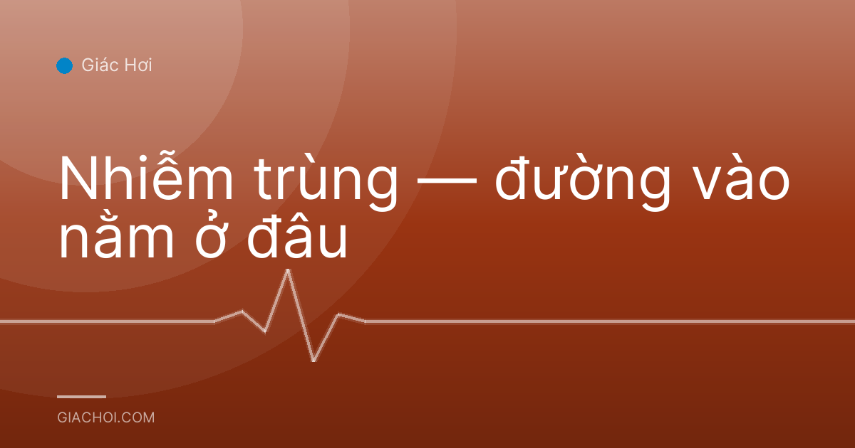 Nhiễm trùng — đường vào nằm ở đâu